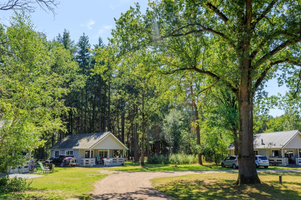 Aldeamento Turístico Rcn De Flaasbloem